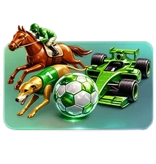 SANAL SPORLAR
